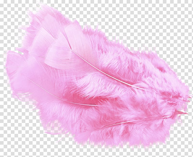 pink feather decor, Feather boa Pink, Pink feather transparent background PNG clipart