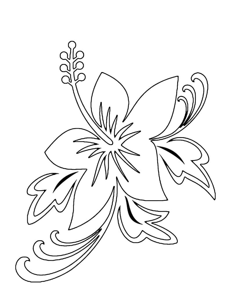 Drawing Flower Pencil Sketch, Tropical Flower Drawings transparent background PNG clipart