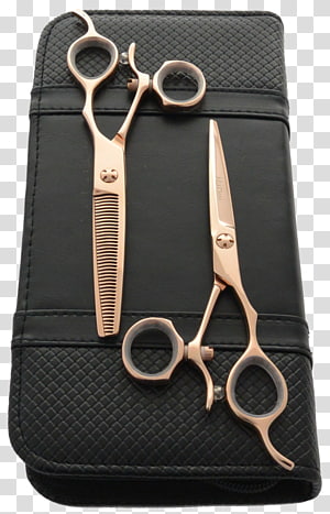 Fancy hair cutting scissors - Scissor Tech Australia