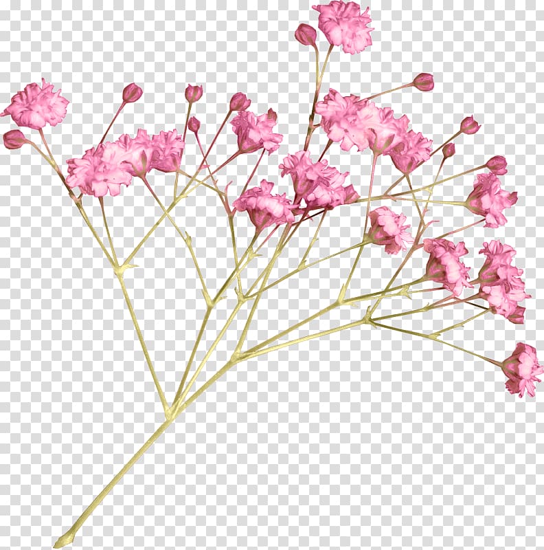 pink hand painted a small flower decoration pattern transparent background PNG clipart