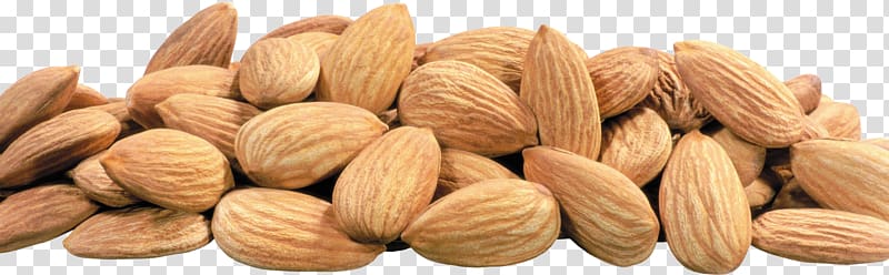 Almond transparent background PNG clipart