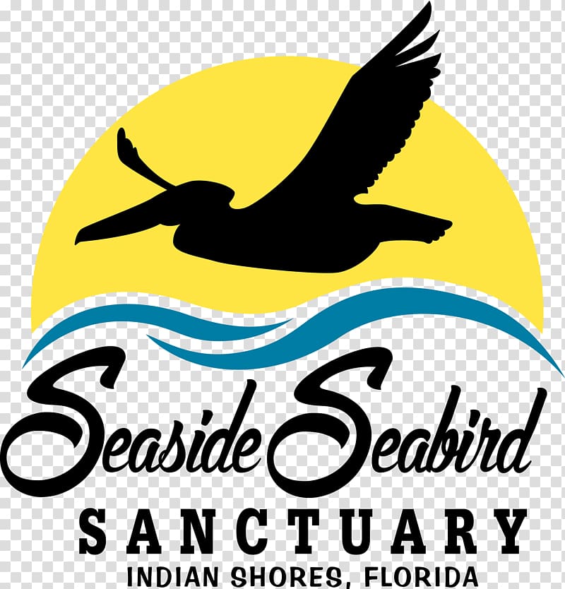 Suncoast Seabird Sanctuary Seaside Seabird Sanctuary Beak Pelican, Bird transparent background PNG clipart