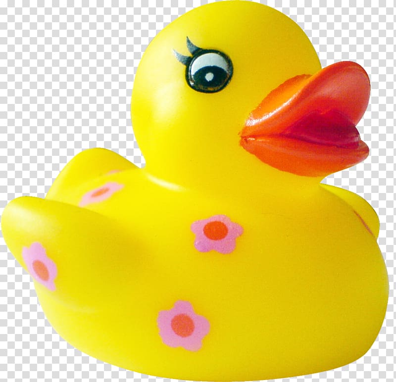 Rubber duck , duck transparent background PNG clipart