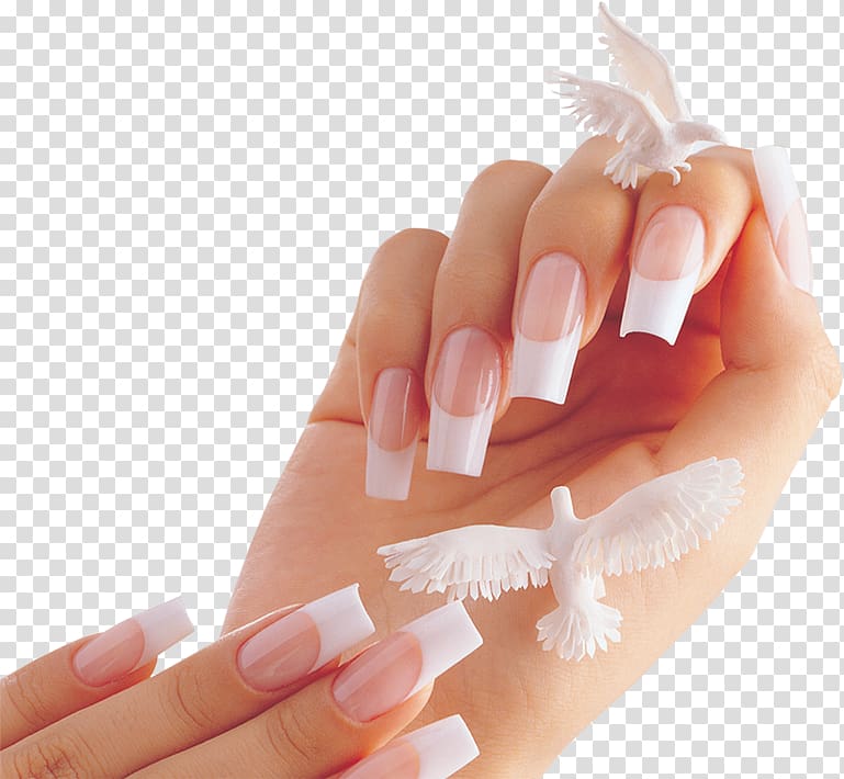 Two white dove figurines, Nails R Us Artificial nails Nail Polish Gel nails,  Nail transparent background PNG clipart | HiClipart