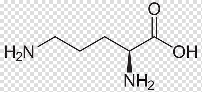 Methionine Amino acid Glutamine Cysteine Tyrosine, others transparent background PNG clipart