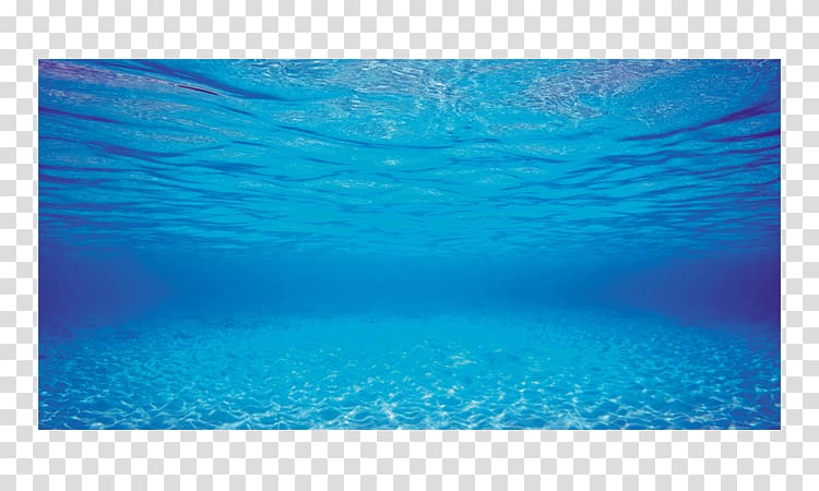 Aquarium Aquascaping Fish Pet VetMedsDirect, others transparent background PNG clipart