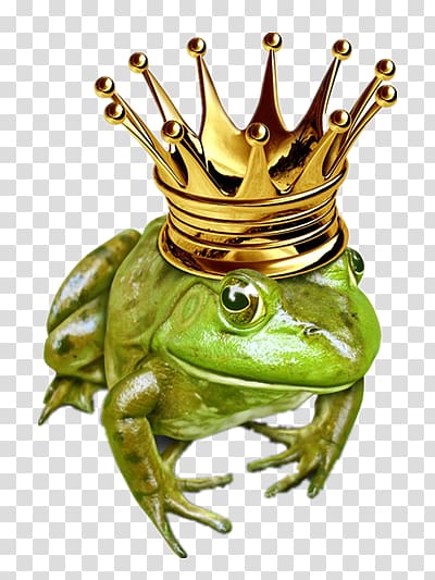 frog transparent background PNG clipart frog transparent background PNG clipart