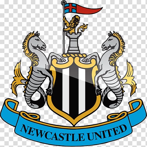 Newcastle United F.C. Newcastle upon Tyne Premier League FA Cup Brighton & Hove Albion F.C., premier league transparent background PNG clipart