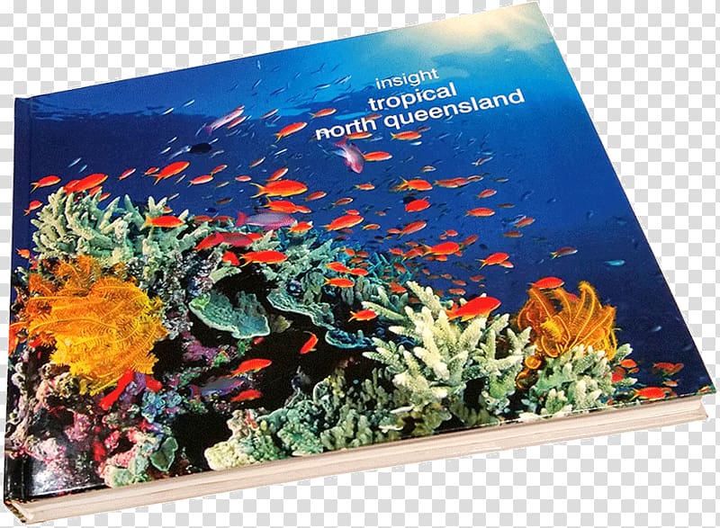 Coral reef fish Ecosystem Marine biology, Great Tribulation transparent background PNG clipart
