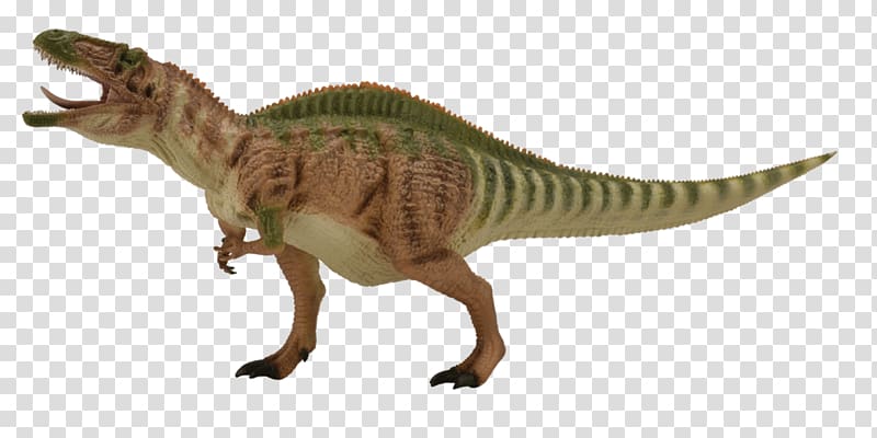 Acrocanthosaurus Tyrannosaurus Styracosaurus Neovenator Giganotosaurus, Acrocanthosaurus transparent background PNG clipart
