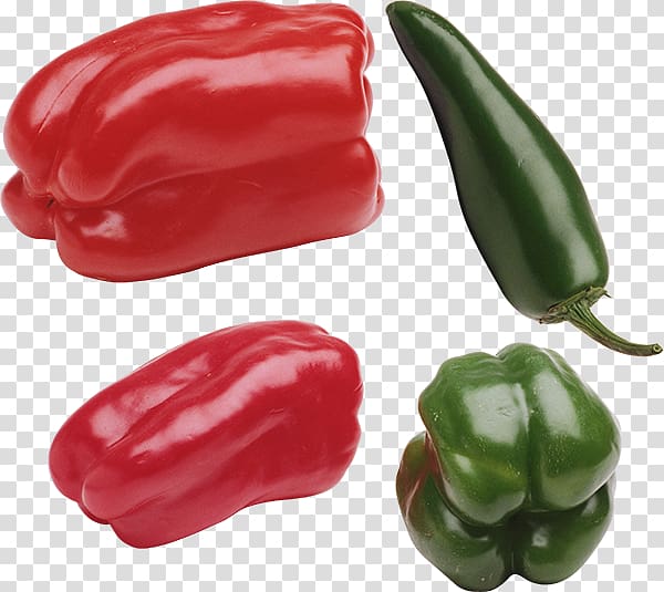 Habanero Piquillo pepper Bell pepper Jalapeño Tabasco pepper, others transparent background PNG clipart