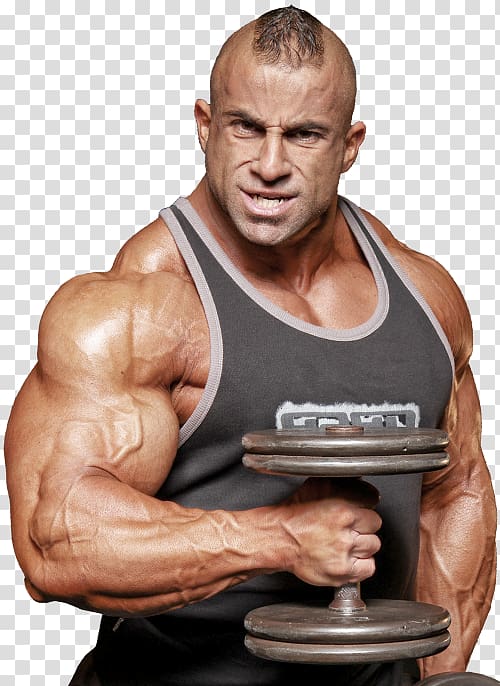 Fouad Abiad Dietary supplement Bodybuilding supplement Muscle, bodybuilding transparent background PNG clipart