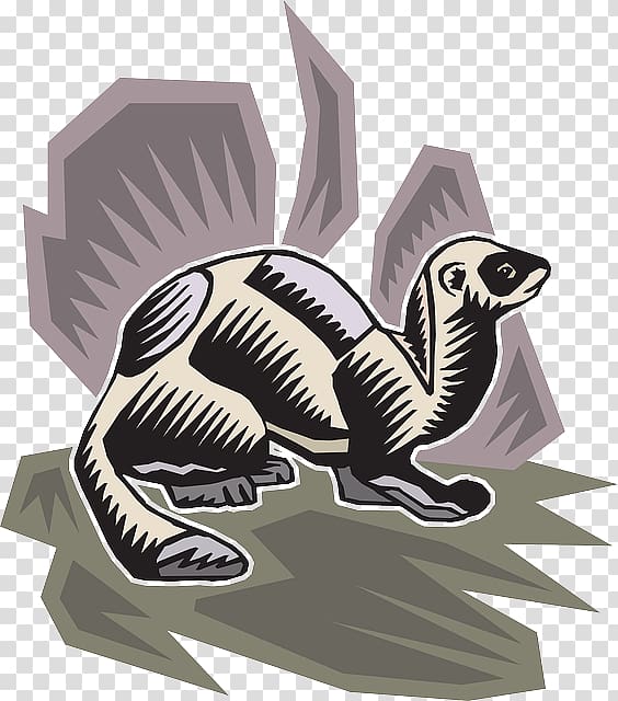 Ferret Animation , ferret transparent background PNG clipart