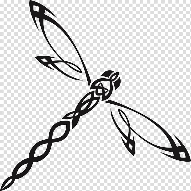 Dragonfly Insect , dragonfly transparent background PNG clipart