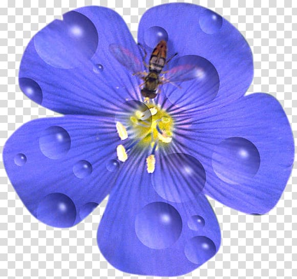 Flower Drawing Petal Blue Flax Tea Room, flower transparent background PNG clipart