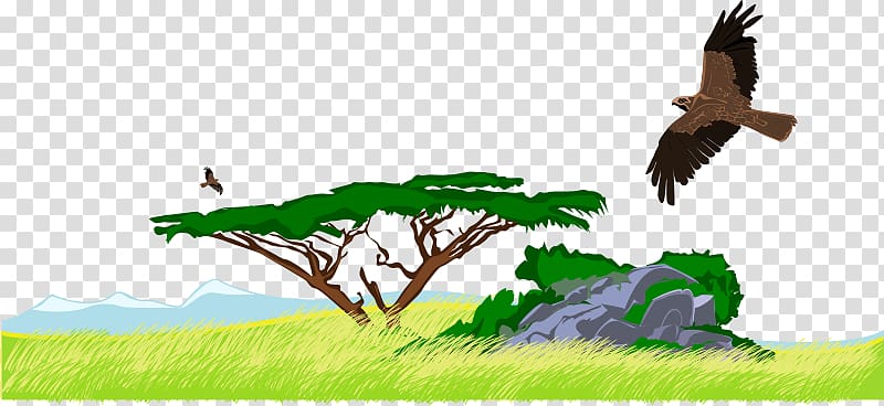 Jungle , Savanna transparent background PNG clipart