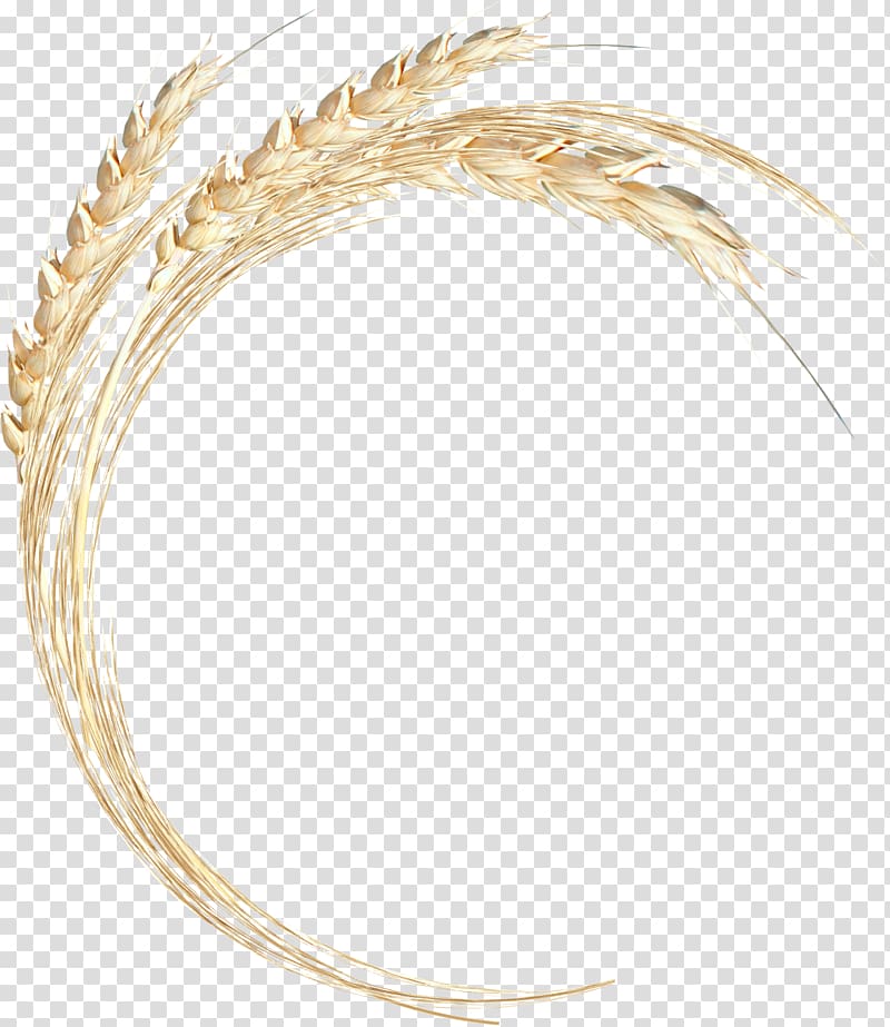 Clothing Accessories Body Jewellery Headgear Feather, chapathi transparent background PNG clipart