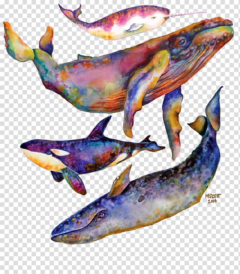 Dolphin Watercolor painting Cetacea Art Humpback whale, dolphin transparent background PNG clipart