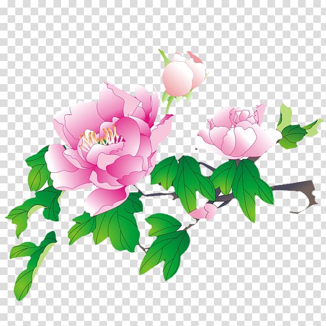 Moutan peony Watercolor painting Drawing, Hand-painted peony transparent background PNG clipart