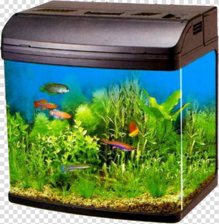 Moscow Aquarium Filter Pet Shop Liter, Fish tank transparent background PNG clipart