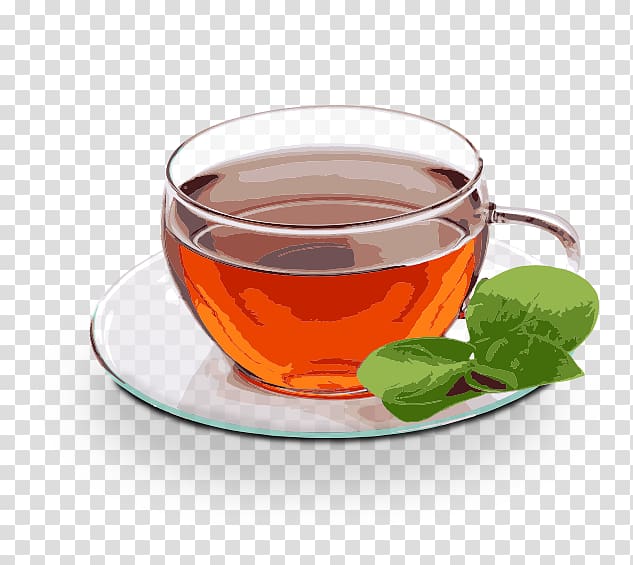Green tea Coffee Oolong Tea production in Sri Lanka, tea transparent background PNG clipart