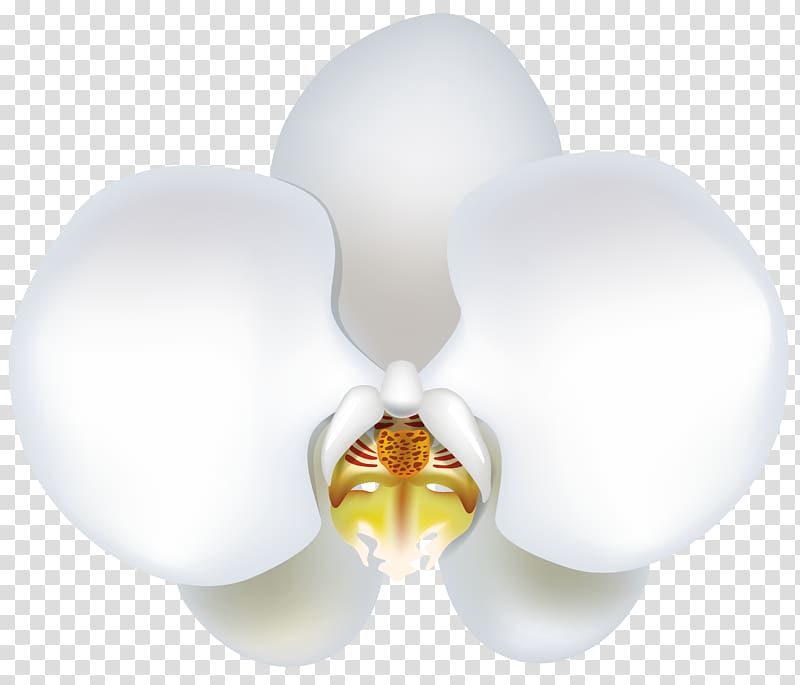 Lighting Flower, Pure as snow butterfly flower transparent background PNG clipart