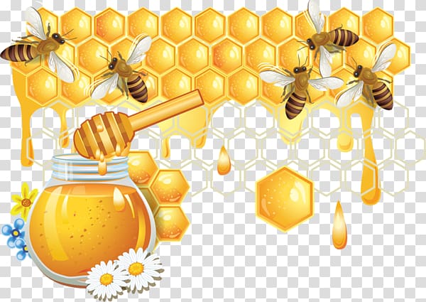 honey illustration, Honey bee Honeycomb, Bees and honey transparent background PNG clipart