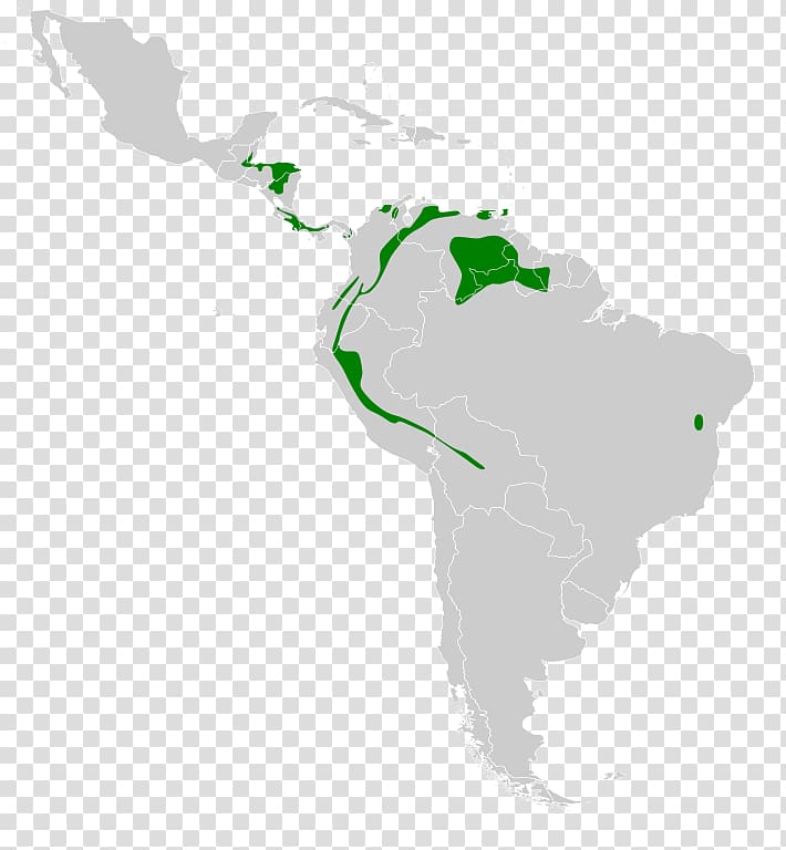 Brazil Flora Caribbean World Geographical Scheme for Recording Plant Distributions Region, 美术vi transparent background PNG clipart