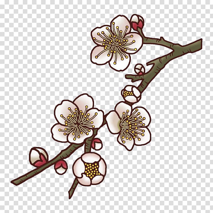 Plum blossom Illustration, Plum flower transparent background PNG clipart