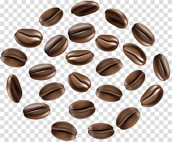 Coffee bean Cafe Single-origin coffee, Coffee transparent background PNG clipart