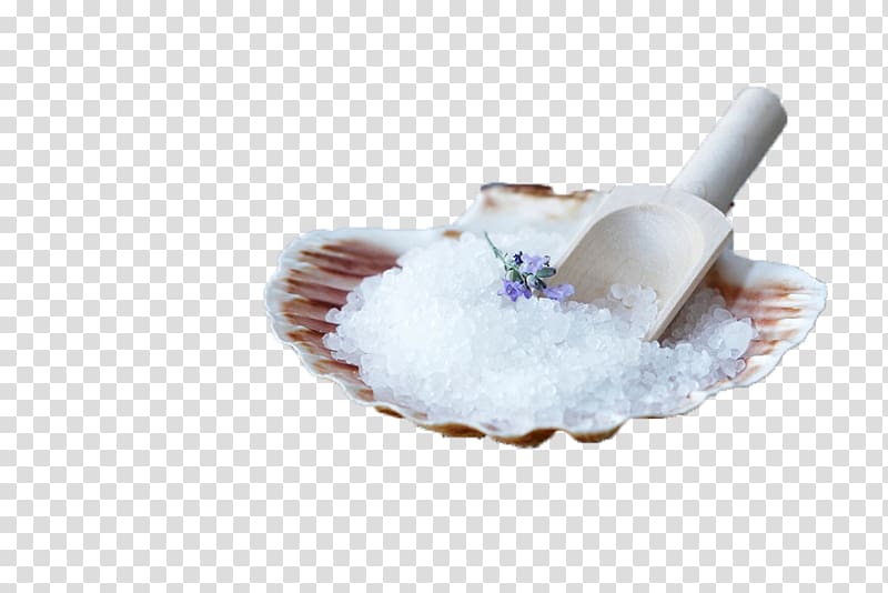 Clam Oyster Sea salt, White clam shell with sea salt transparent background PNG clipart