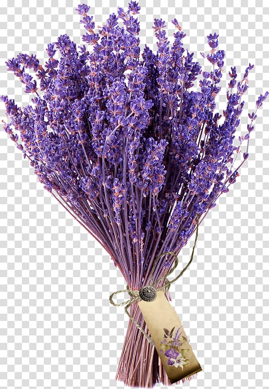 English lavender Flower bouquet French lavender, flower transparent background PNG clipart