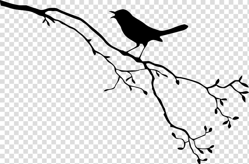 Bird Drawing, border branches transparent background PNG clipart