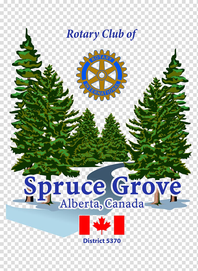 Christmas tree Parkland Food Bank Society Sponsor Spruce, christmas tree transparent background PNG clipart