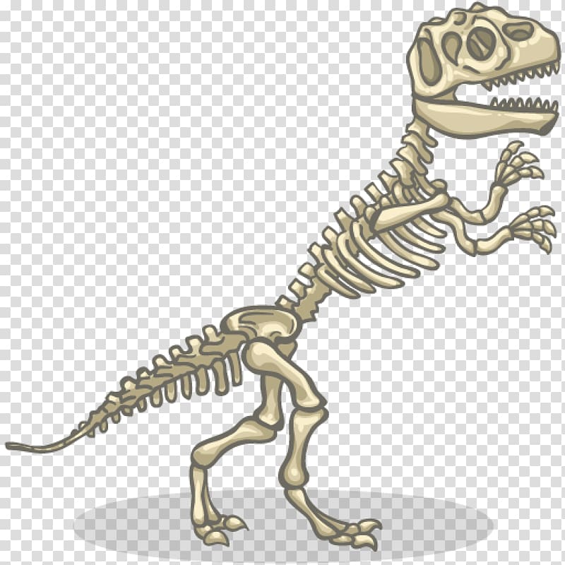 Tyrannosaurus Velociraptor Dinosaur Diplodocus Allosaurus, Skeleton transparent background PNG clipart