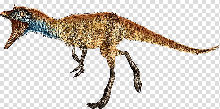 Compsognathus Megaraptor Microraptor Saltopus Spinosaurus, dinosaur transparent background PNG clipart