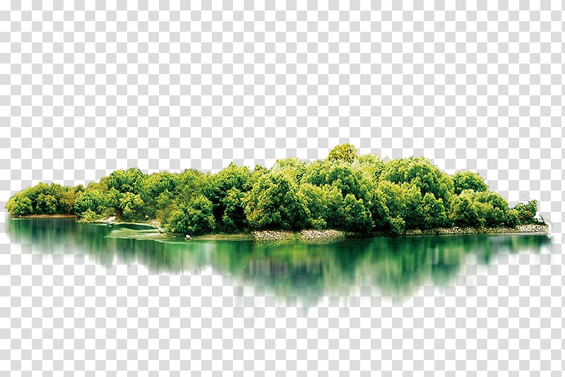 Lush island transparent background PNG clipart
