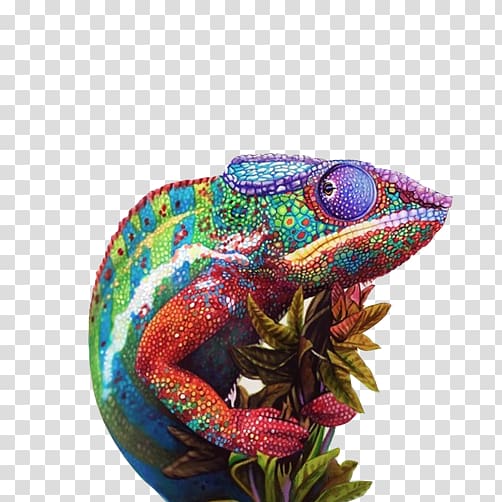 multicolored lizard illustration, Chameleons Drawing Colored pencil Sketch, Chameleon painting material transparent background PNG clipart