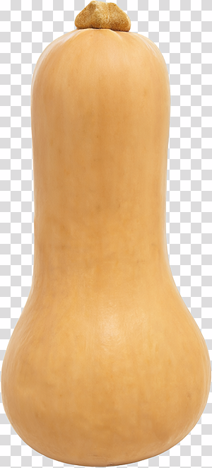 Golden Butternut Squash transparent background PNG clipart thumbnail