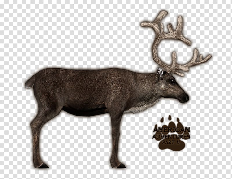 Zoo Tycoon 2 Deer Antler Porcupine caribou, deer transparent background PNG clipart