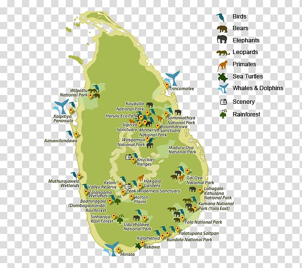 Sinharaja Forest Reserve Yala National Park Map Udawalawe National Park, map transparent background PNG clipart