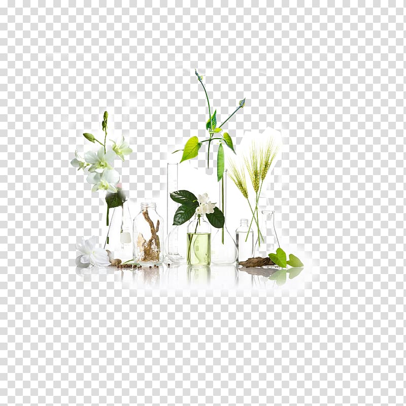 Glass Transparency and translucency Bottle, Plant floral bottle transparent background PNG clipart