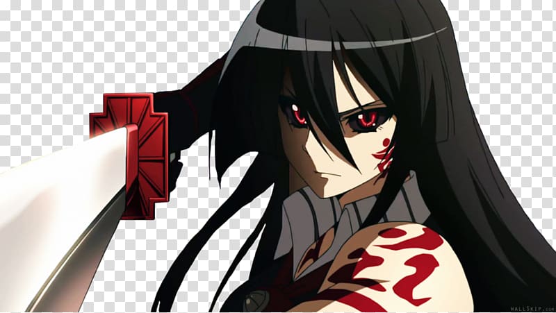 Akame ga Kill! Anime Mangaka Teigu, Anime, black Hair, manga, fictional  Character png