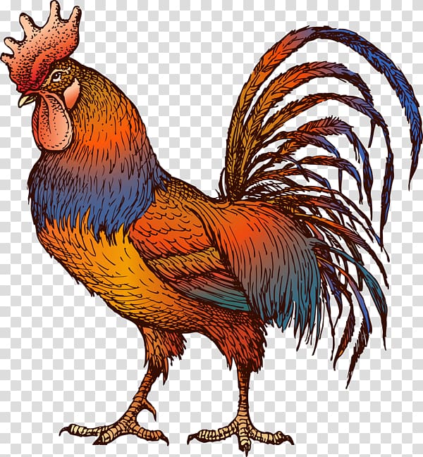 Chicken Rooster Drawing Gamecock, chicken transparent background PNG clipart