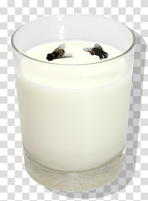 Dairy Products Flavor Housefly, mosca transparent background PNG clipart thumbnail
