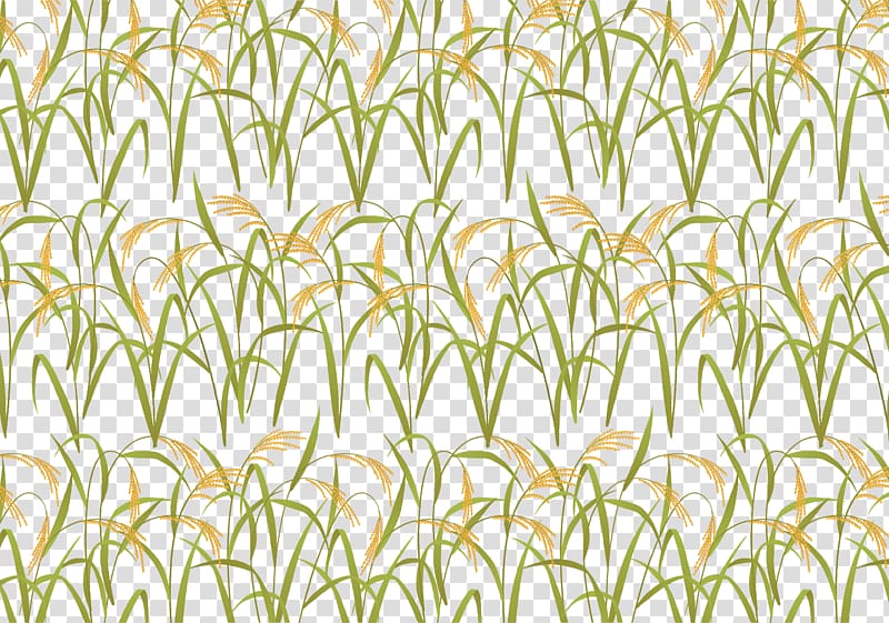 Leaf Grasses Yellow Plant stem Pattern, Autumn harvest rice field transparent background PNG clipart