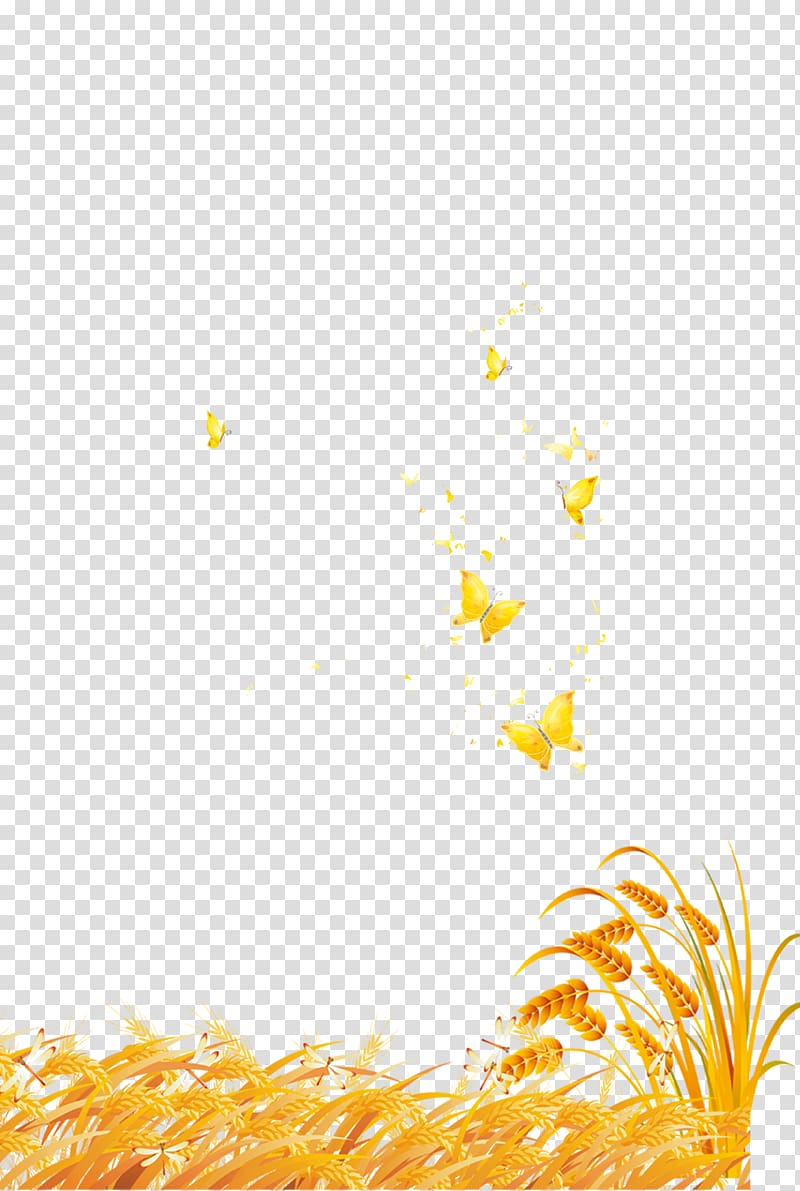 yellow butterflies illustration, Wheat Advertising Poster Cereal, Mature wheat transparent background PNG clipart