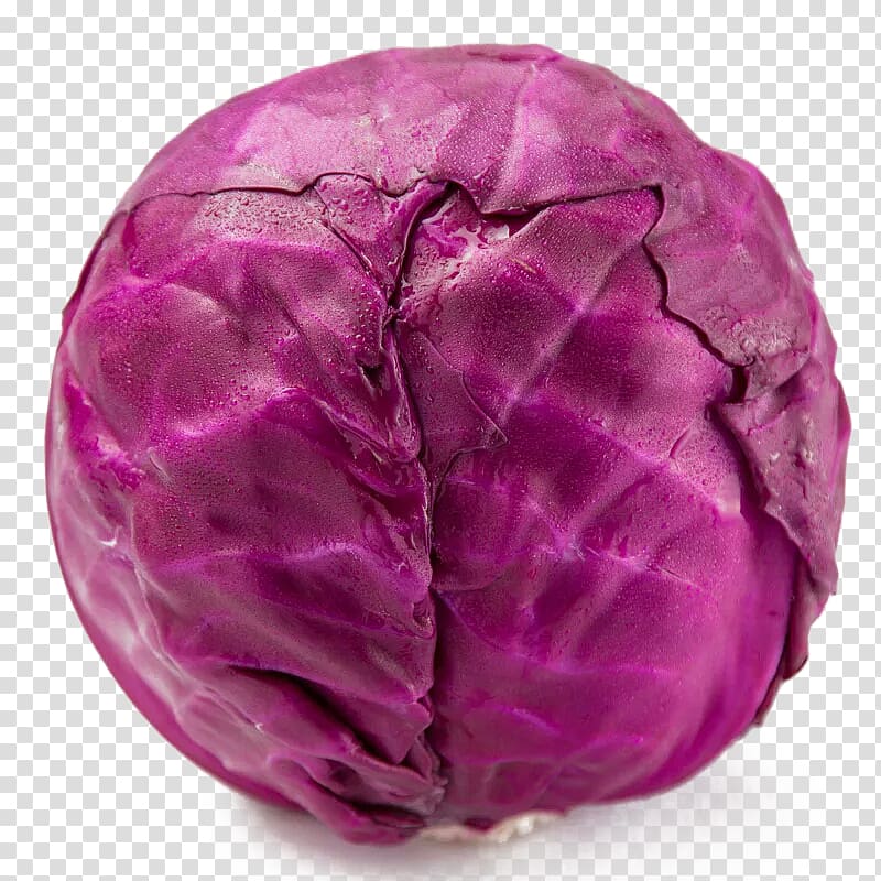 Red cabbage Glebionis coronaria Broccoli Vegetable, A purple cabbage transparent background PNG clipart