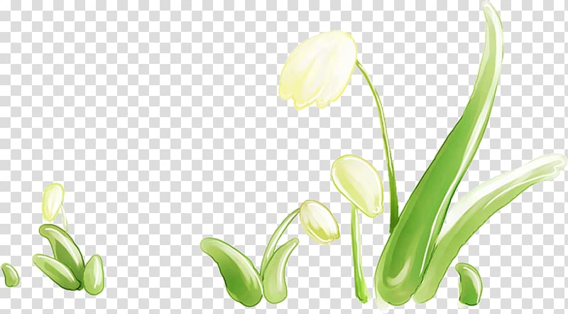 Chomikuj.pl Flower Plant stem Desktop Flora, kwiaty wiosenne transparent background PNG clipart