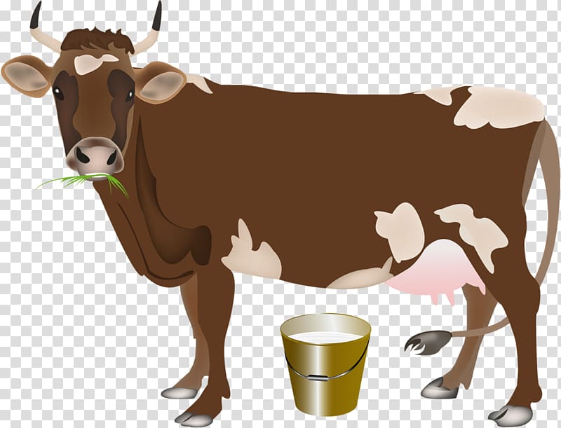 Dairy cattle Milk Calf Dairy farming, milk transparent background PNG clipart